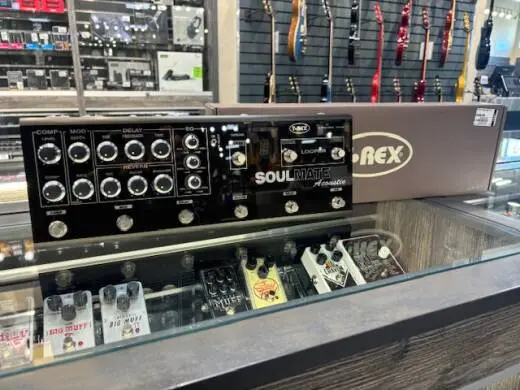 T-REX SOULMATE ACOUSTIC