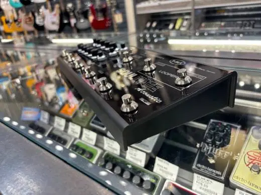 T-REX SOULMATE ACOUSTIC 2