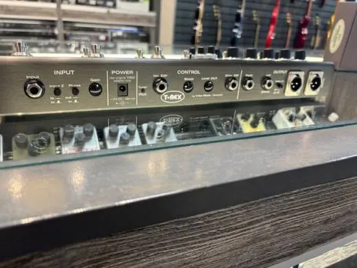 T-REX SOULMATE ACOUSTIC 2