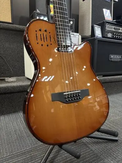 Godin Guitars - G53421 2
