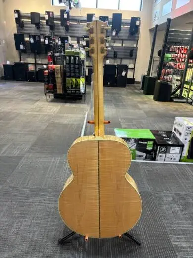 Gibson - ACO20ANGH 2