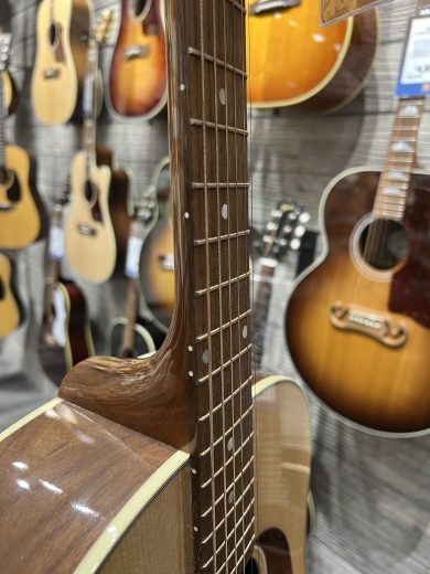 Store Special Product - Gibson - AC4S00WANH
