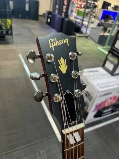 Store Special Product - Gibson - MCSSHBSPCVCS