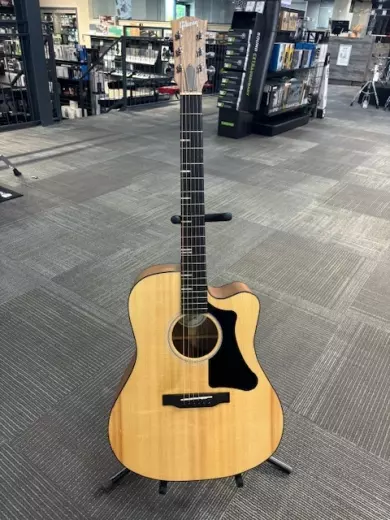 Gibson - ACGWRANNH 2