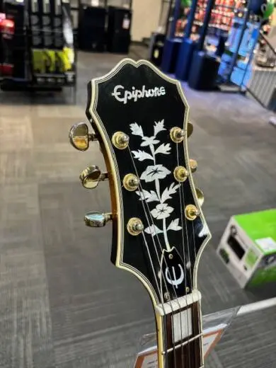 Store Special Product - Epiphone - EMPPROVSGH