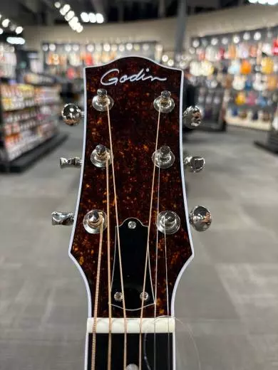 Godin Guitars - G51625 2