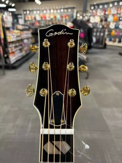 Godin Guitars - G53377 2