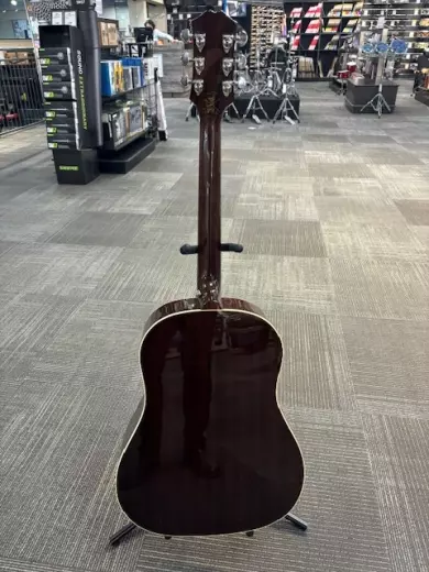 Epiphone - EISLASH45NVNH 5