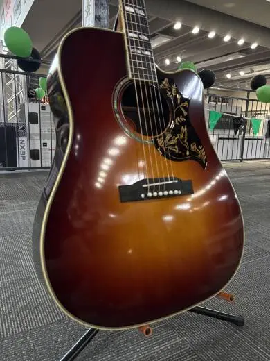 Epiphone - ECHBDECABGH 2
