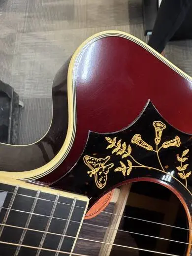 Epiphone - ECHBDECABGH 2