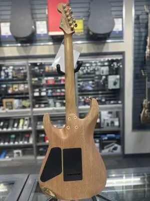 Charvel Guitars - 296-9016-557 2