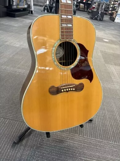 Gibson - ACSD19ANGH