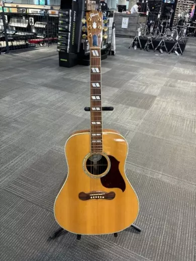 Gibson - ACSD19ANGH 2