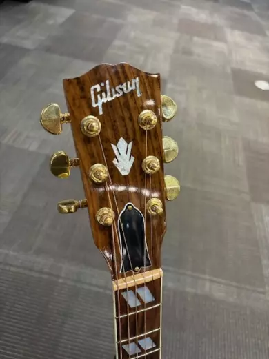 Gibson - ACSD19ANGH 3