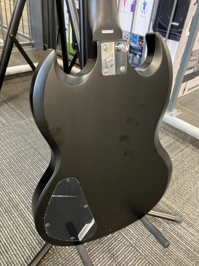 Epiphone - EGGSVVECH 2
