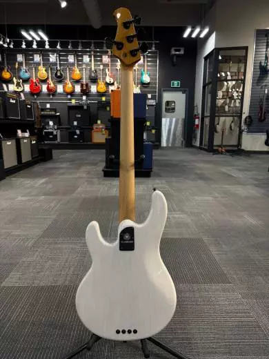 Ernie Ball Music Man - 217-TC4-51-06 2