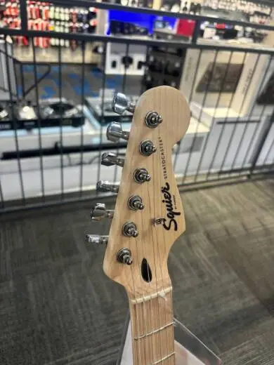 Squier - 037-3302-555 2