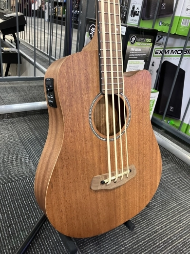 Gold Tone - MICRO BASS