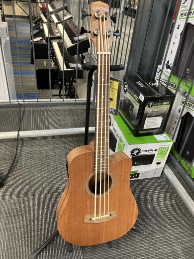 Gold Tone - MICRO BASS 2