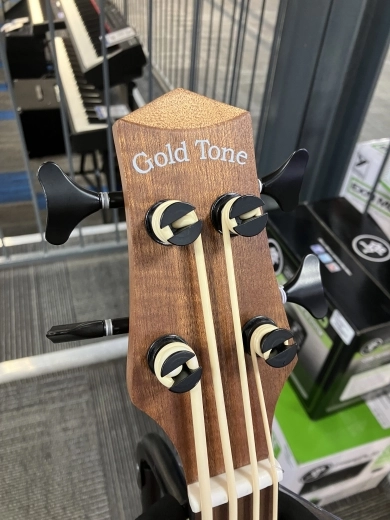 Gold Tone - MICRO BASS 2