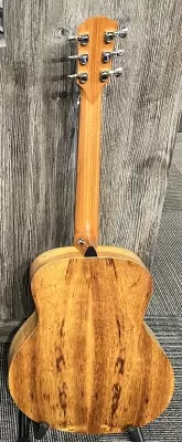 Taylor Guitars - GS MINI-E K V2 2