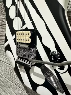 EVH STRIPED SERIES CIRCLES 2