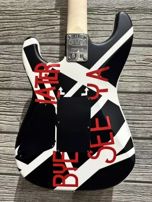 EVH STRIPED SERIES CIRCLES 3