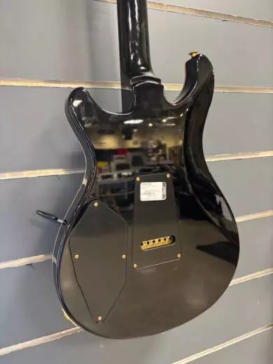 PRS 509 PURPLE IRIS W/CS 2