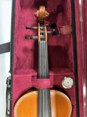 CVN100 4/4 Violin with Case 2