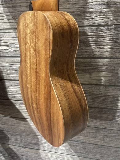 TAYLOR GS MINI LTD SPRUCE/BLACKWOOD w/GB 2