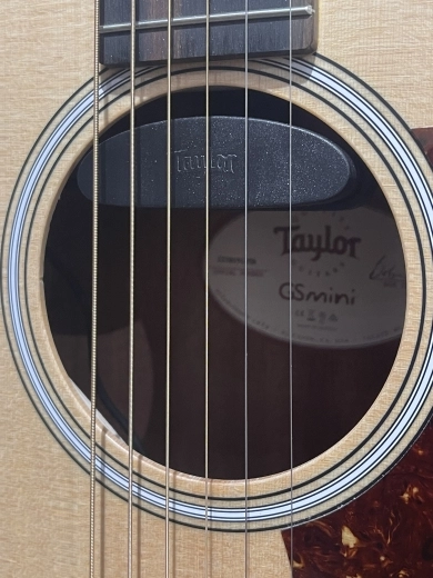 TAYLOR GS MINI LTD SPRUCE/BLACKWOOD w/GB 2