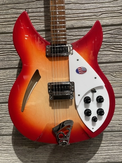 Rickenbacker - 330 FG