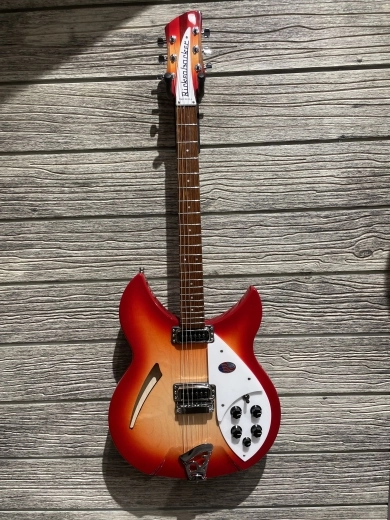 Rickenbacker - 330 FG 2