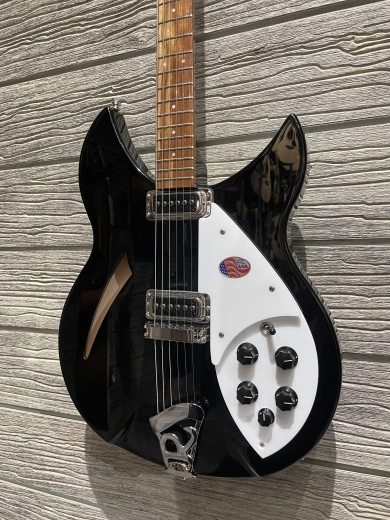 Rickenbacker - 330 JG