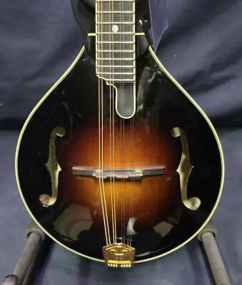Weber Beartooth Mandolin 2