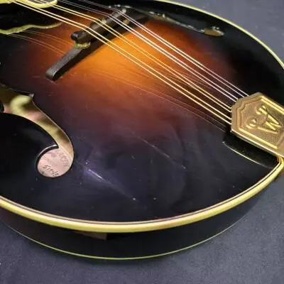 Weber Beartooth Mandolin 2