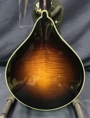 Weber Beartooth Mandolin 2