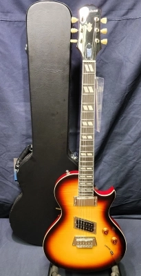 Epiphone Nancy Wilson Nighthawk Outfit