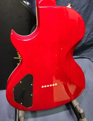 Epiphone Nancy Wilson Nighthawk Outfit 2