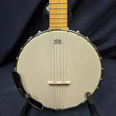 Gretsch G9460 Dixie 6 Banjitar 2
