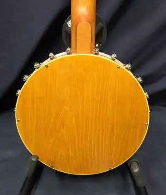 Gretsch G9460 Dixie 6 Banjitar 2