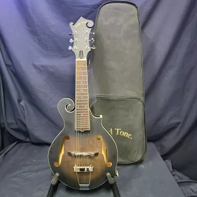 Gold Tone F-Style Manditar with Pickup & Case