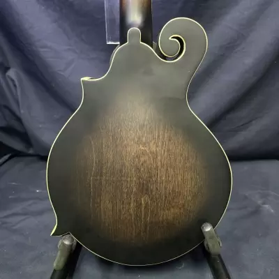 Gold Tone F-Style Manditar with Pickup & Case 2