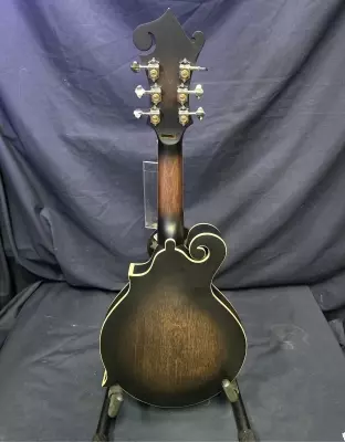 Gold Tone F-Style Manditar with Pickup & Case 2