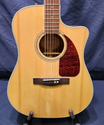 Fender DG200SCE 2