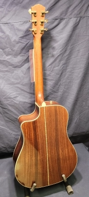 Fender DG200SCE 2