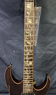 Ibanez RG8420ZD - Black Onyx 2