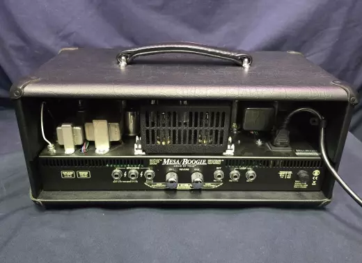 Mesa Boogie Recto-Verb 25 Head 2