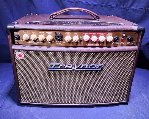 Traynor AM Studio 65W Acoustic Amplifier