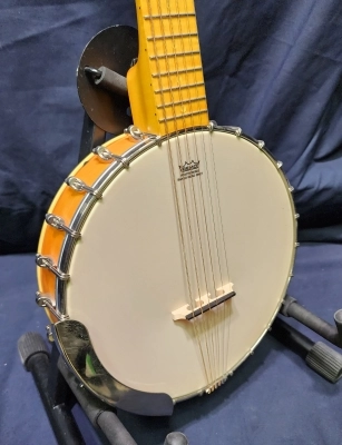 Gretsch G9460 Dixie 6 Guitar-Banjo 2